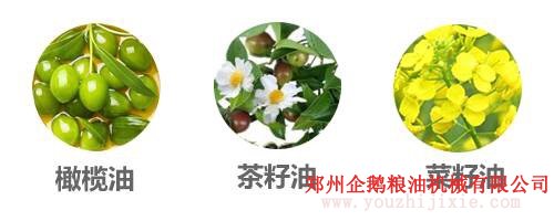 選油換油有講究, 食用油生產(chǎn)廠家教你選油吃油正確方法(圖2)